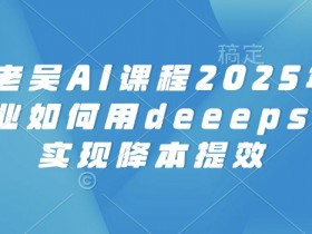 天诺老吴AI课程2025年，电商企业如何用deeepseek实现降本提效