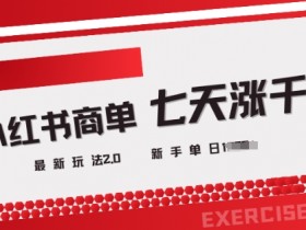 小红书商单2.0最新玩法，3天涨千粉单日变现多张