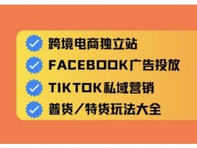 跨境电商独立站及全域流量营销，从0基础快速入门并精通跨境电商运营