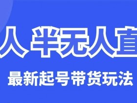 无人半无人直播最新起号带货玩法，全是干货（保姆级教程）