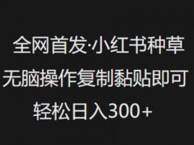 全网首发，小红书种草无脑操作，复制黏贴即可，轻松日入3张