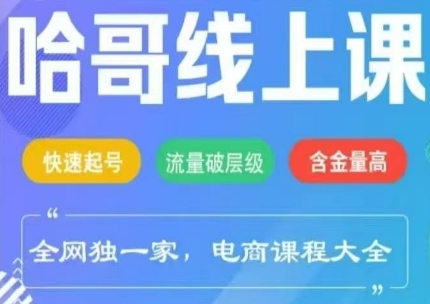 哈哥电商线上课程（2025版）