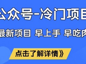 公众号冷门赛道，早上手早吃肉，单月轻松稳定变现1W【揭秘】