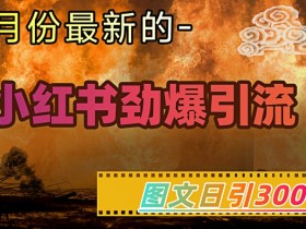 小红书超劲爆引流手段，图文日引300+轻松变现1W