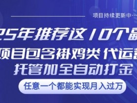 25年推荐这10个副业项目包含褂鸡类、代运营托管类、全自动打金类【揭秘】