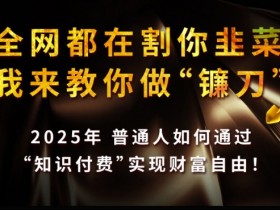 全网都在割你韭菜，我来教你做镰刀,2025普通人如何通过知识付费，实现财F自由【揭秘】