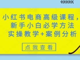 小红书电商高级课程，新手小白必学方法，实操教学+案例分析