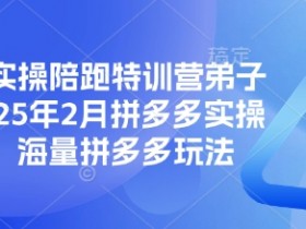 拼多多实操陪跑特训营弟子班，2025年2月拼多多实操课程，海量拼多多玩法