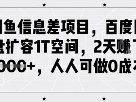 闲鱼信息差项目，百度网盘扩容1T空间，2天收益1k+，人人可做0成本