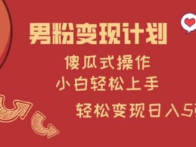 男粉变现计划，傻瓜式操作，小白轻松日入多张【揭秘】