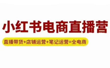 申铭老师·小红书电商直播营