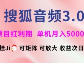 搜狐音频自动运行3.0.可矩阵可放大，独家技术，稳定月入5000+【揭秘】
