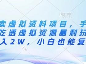 闲鱼卖虚拟资料项目，手把手带你吃透虚拟资源暴利玩法，月入2W，小白也能复制