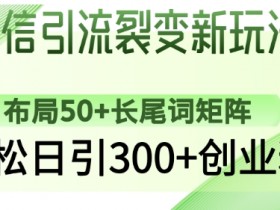 微信引流裂变新玩法：布局50+长尾词矩阵，轻松日引300+创业粉