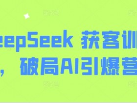 DeepSeek 获客训练营，破局AI引爆营销