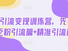 热点引流变现训练营，先导篇+泛粉引流篇+精准引流篇