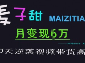 麦子甜30天逆袭视频带货高手，单月变现6W加特训营