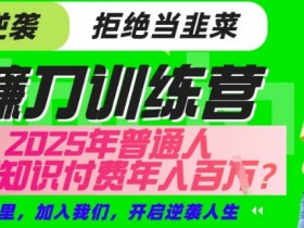 【网创项目终点站-镰刀训练营超级IP合伙人】25年普通人如何通过“知识付费”年入百个-仅此一版【揭秘】