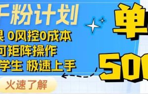 抖音千粉计划，日入500+，包落地，当日拿成果