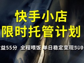 快手小店限时托管计划，收益55分，全程喂饭，单日稳定变现5张【揭秘】