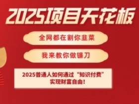 2025项目天花板普通人如何通过知识付费，实现财F自由【揭秘】