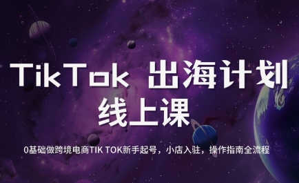 老吴·TikTok跨境电商新手起号与运营全攻略
