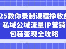 2025教你录制课程挣收益项目，私域公域流量IP营销做图包装变现全攻略