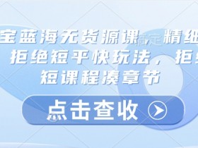 淘宝蓝海无货源课，精细运营，拒绝短平快玩法，拒绝简短课程凑章节