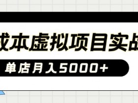 0成本虚拟项目实战手把手教你落地，单店月入5k