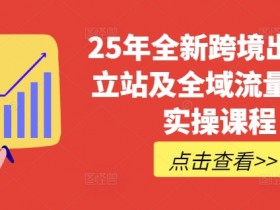 25年全新跨境出海独立站及全域流量营销实操课程，跨境电商独立站TIKTOK全域营销普货特货玩法大全