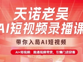 天诺老吴AI短视频录播课，带你入局AI短视频，AI+短视频，跑通视频带货