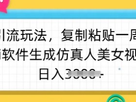暴力引流玩法，复制粘贴一周1w粉，ai软件生成仿真人美女视频，日入多张