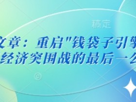 付费文章：重启”钱袋子引擎”：中国经济突围战的最后一公里