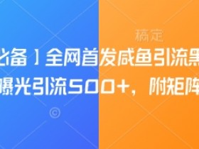 【引流必备】全网首发咸鱼引流黑科技，单日曝光引流500+，附矩阵玩法【揭秘】
