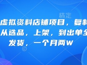 小红书虚拟资料店铺项目，复制粘贴搬运，从选品，上架，到出单全自动发货，一个月两W