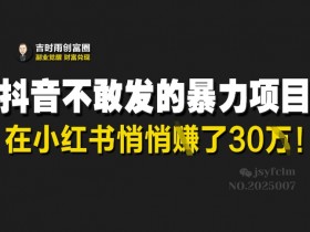 抖音不敢发的暴利项目，在小红书悄悄挣了30W