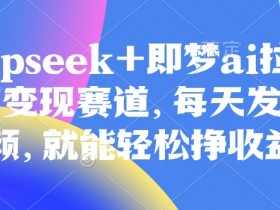 原客单价998的deepseek+即梦ai拉新，王炸变现赛道，每天发发视频，就能轻松挣收益