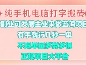 纯手机电脑打字搬砖，有手就行，几秒一单，多劳多得，正规项目大平台【揭秘】