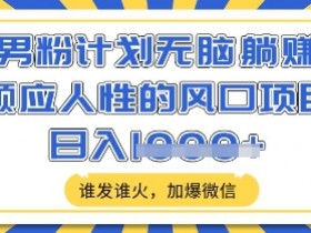 男粉计划无脑躺Z，顺应人性的风口项目，谁发谁火，加爆微信，日入多张【揭秘】