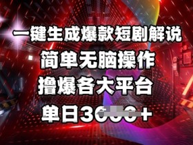 全网首发!一键生成爆款短剧解说，操作简单，撸爆各大平台，单日多张