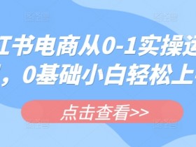 小红书电商从0-1实操运营课，0基础小白轻松上手