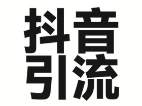 2025年抖音最新暴力引流法，只需一个视频加一段文字，简单操作，单日引300+创业粉