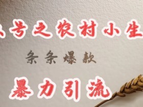 deepseek写农村小项目，条条爆款，暴力引流