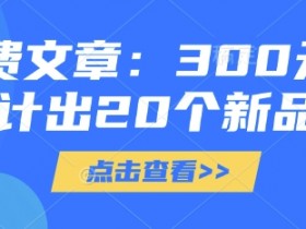 付费文章：300元设计出20个新品
