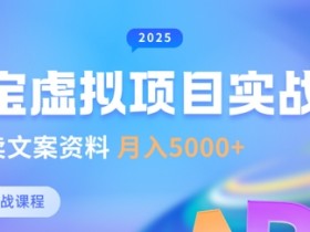 淘宝虚拟项目垂直玩法，新手卖文案资料，月入5k+