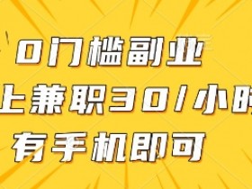 0门槛副业，线上兼职30一小时，有手机即可【揭秘】