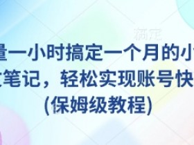 AI+批量一小时搞定一个月的小红书爆款图文笔记，轻松实现账号快速涨粉(保姆级教程)