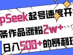 用DeepSeek起号速度开挂，单条作品涨粉2w+，日入5张+的暴利玩法