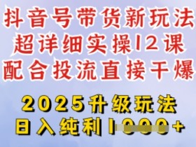 2025全新升级抖音带货玩法，一天纯利四位数，从剪辑到选品再到发布投流，超详细玩法揭秘
