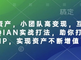 个人IP资产，小团队高变现，互联网全链路赚QIAN实战打法，助你打造个人IP，实现资产不断增值